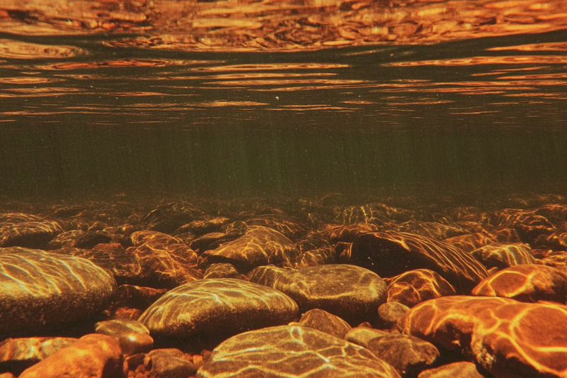 Is My Sunscreen Safe for Freshwater?