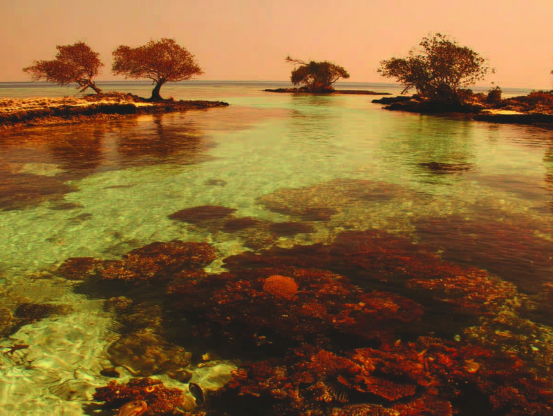 Clear river estuary flowing into ocean showing reef and river safe water ecosystem