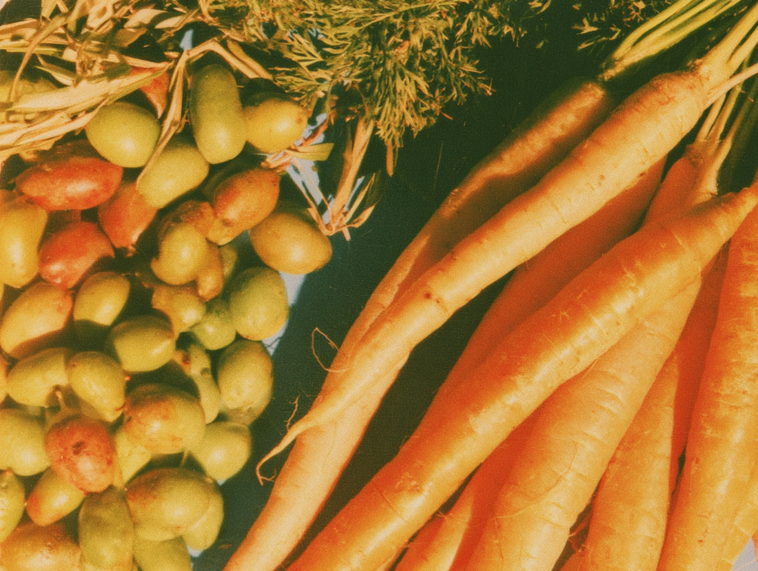 Carrot Seed, Coconut, and Olive Oil SPF: The Real Numbers