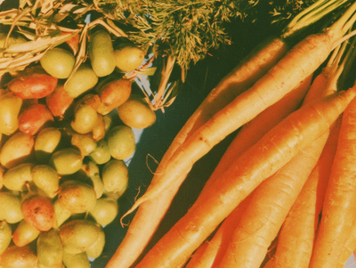 Carrot Seed, Coconut, and Olive Oil SPF: The Real Numbers