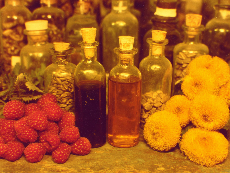 Close-up of sunflower and seed oil ingredients with no SPF value showing why seed oils are not effective sunscreen